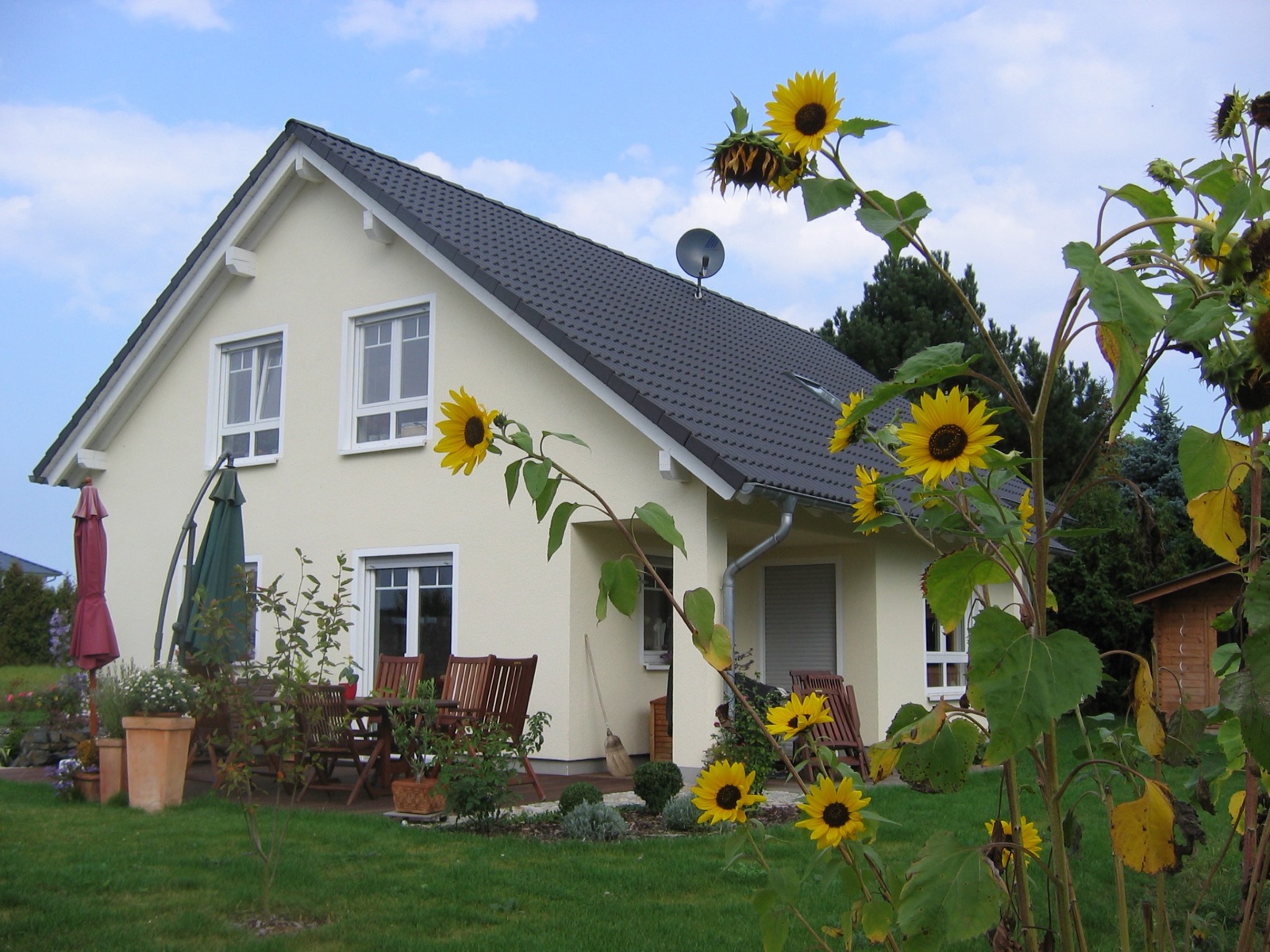 Einfamilienhaus Linter – Ansicht 1